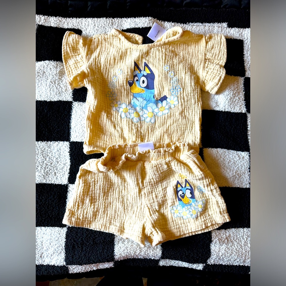 Bluey outfit